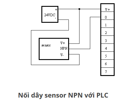 Nên dùng cảm biến loại NPN hay PNP khi đấu vào PLC