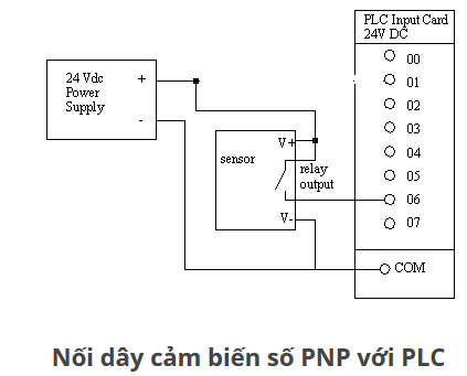 Nên dùng cảm biến loại NPN hay PNP đấu vào PLC