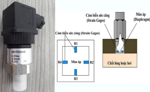 Sensor là gì ? Nguyên lý hoạt động của Sensor ? Các loại Sensor